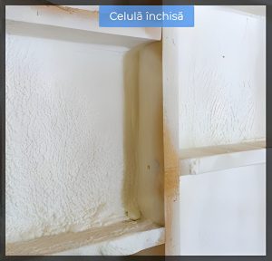 Fotografie de prim-plan care arată vopsea albă crăpată și decojită pe un perete, cu o suprapunere cu textul românesc „Celulă Închisă” în partea de sus. Imaginea surprinde textura și starea suprafeței vopselei deteriorate, amintind de o celulă închisă îmbătrânită care se luptă împotriva timpului.