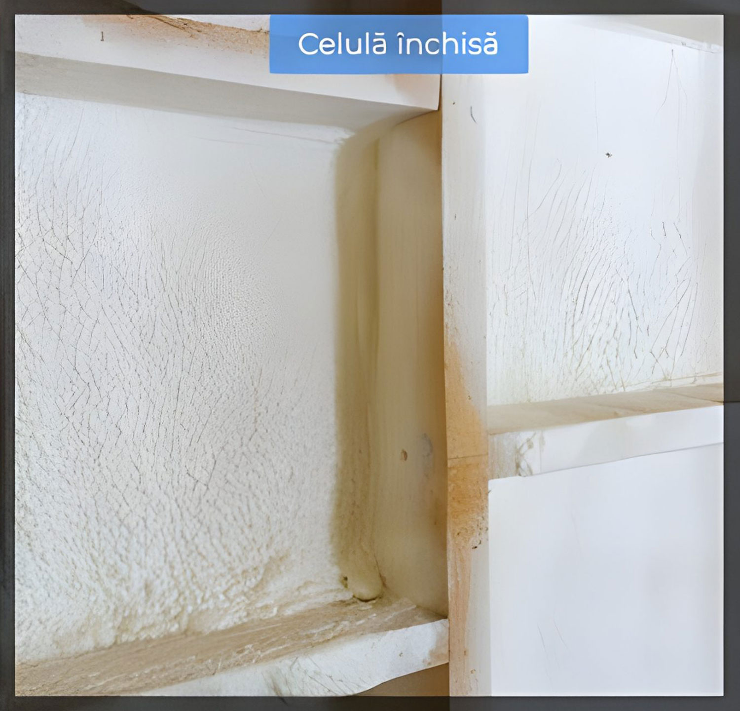 Fotografie de prim-plan care arată vopsea albă crăpată și decojită pe un perete, cu o suprapunere cu textul românesc „Celulă Închisă” în partea de sus. Imaginea surprinde textura și starea suprafeței vopselei deteriorate, amintind de o celulă închisă îmbătrânită care se luptă împotriva timpului.